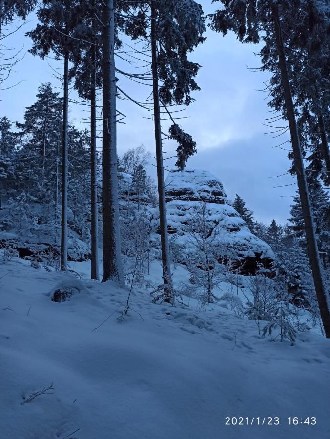 Dreilaendertreff Daire Zittau Dış mekan fotoğraf